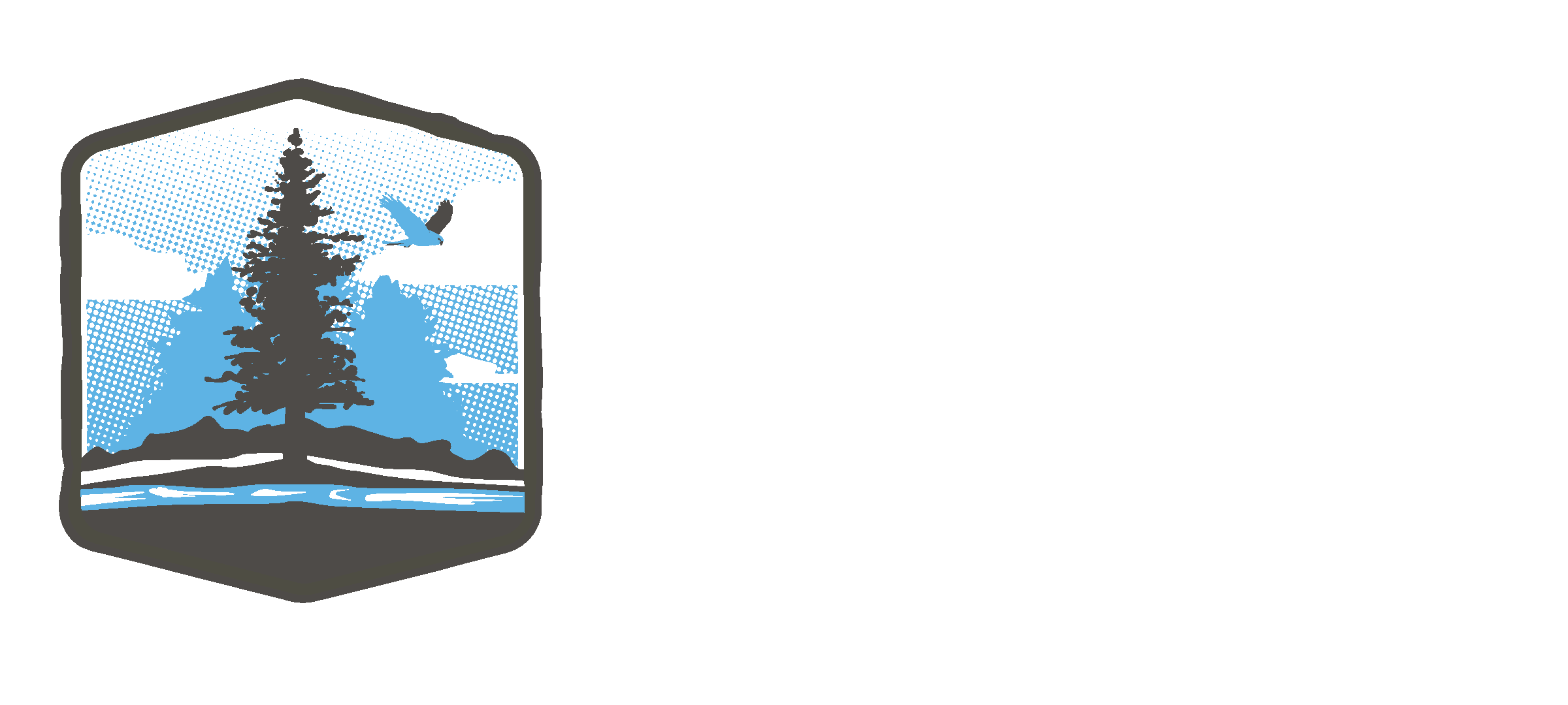 Schubbe Consulting logo